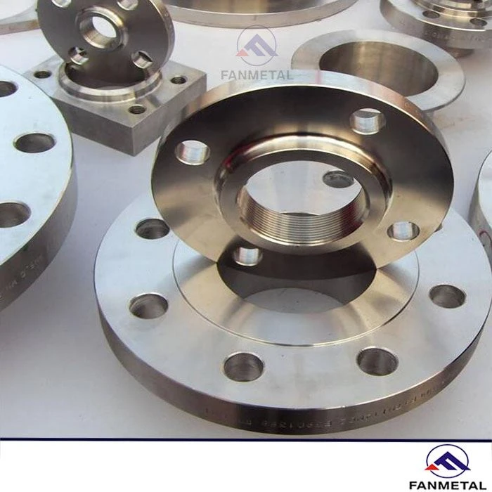 Titanium Flanges